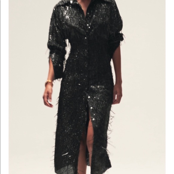 Midi Dress Sequin Shirt Dress Zara Zara Dresses Nwt Zara Sequin High Collar  Midi Dress Small